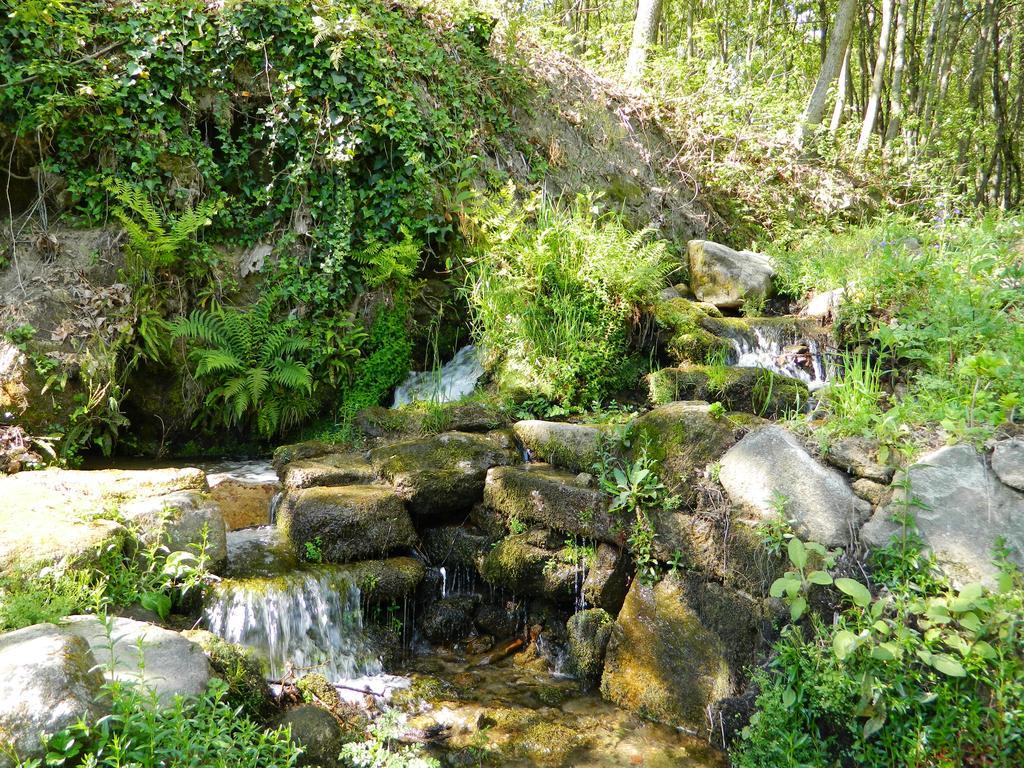Quinta Lamosa Agroturismo Arcos de Valdevez Luaran gambar